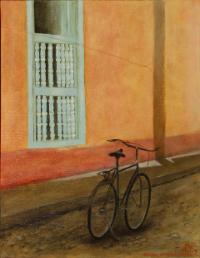 Solitaria en Trinidad, Cuba